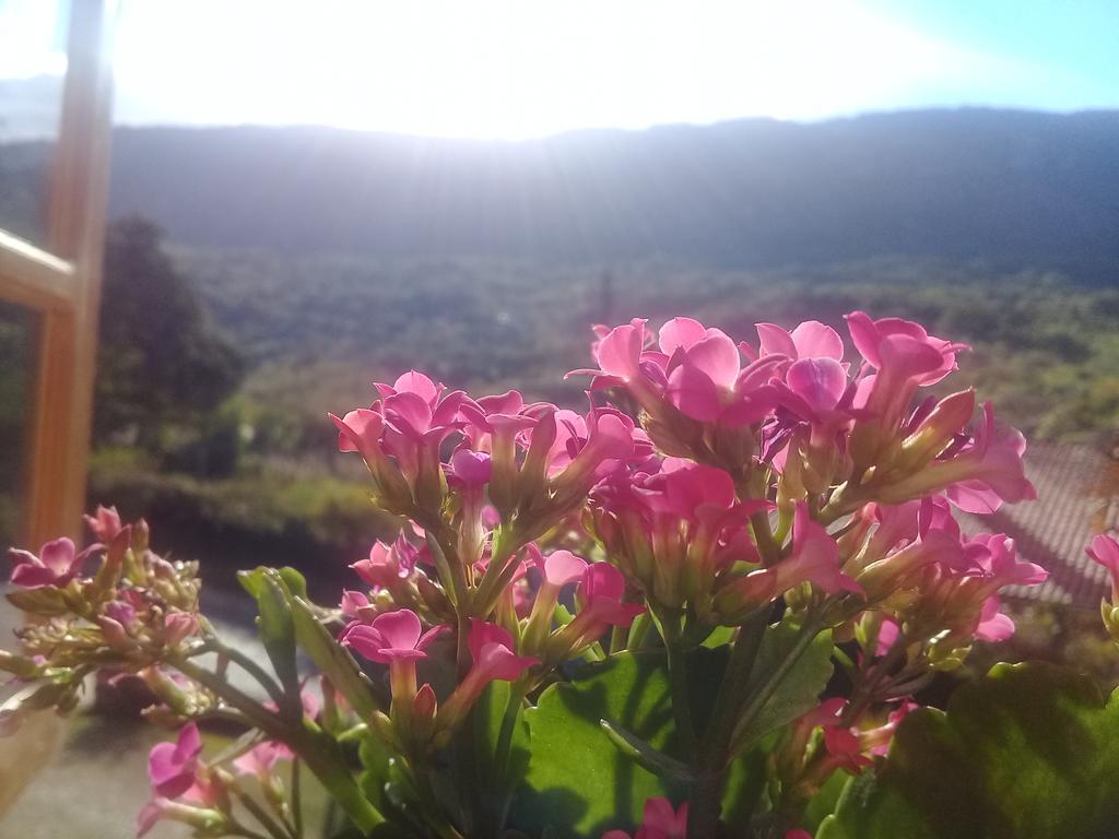 Pousada Nascer Do Sol 蒂拉登特斯 外观 照片